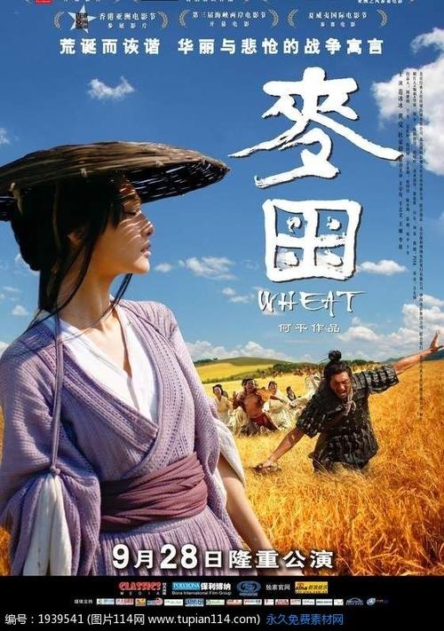怎么做假南澳大利亚